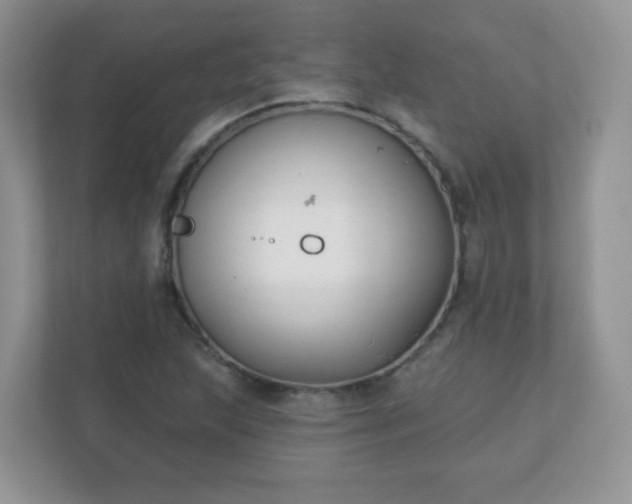 X0000110921215200906251411