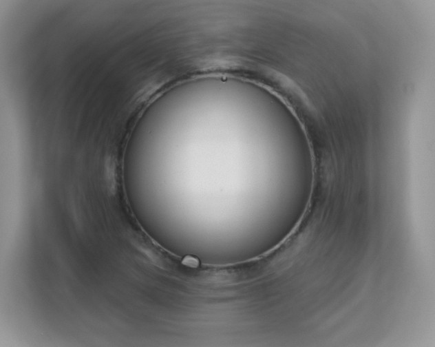 X0000110921217200906251411