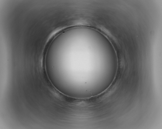 X0000110921222200906251411