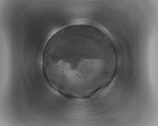 X0000110921226200906251411