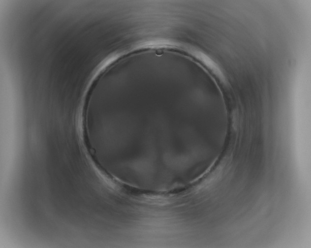 X0000110921229200906251411