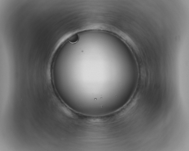 X0000110921230200906251411