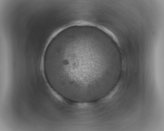 X0000110921231200906251411