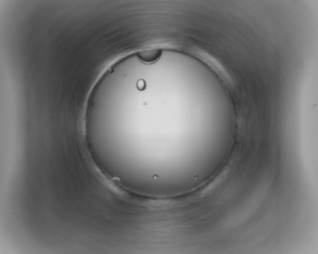 X0000110921236200906251411