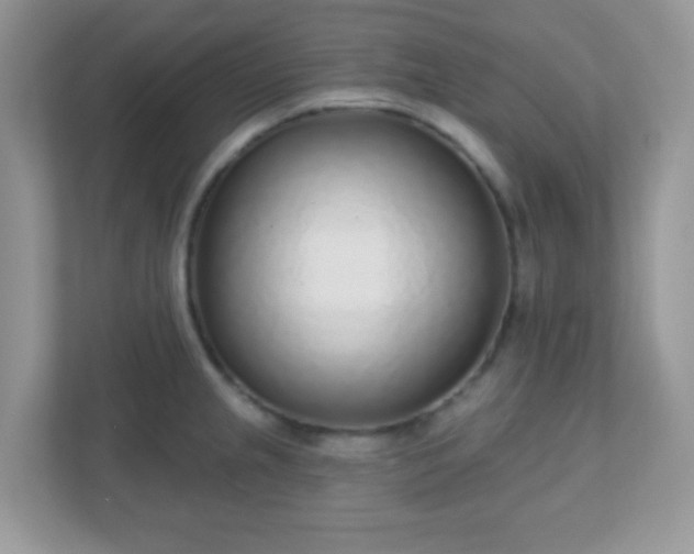 X0000110921237200906251411