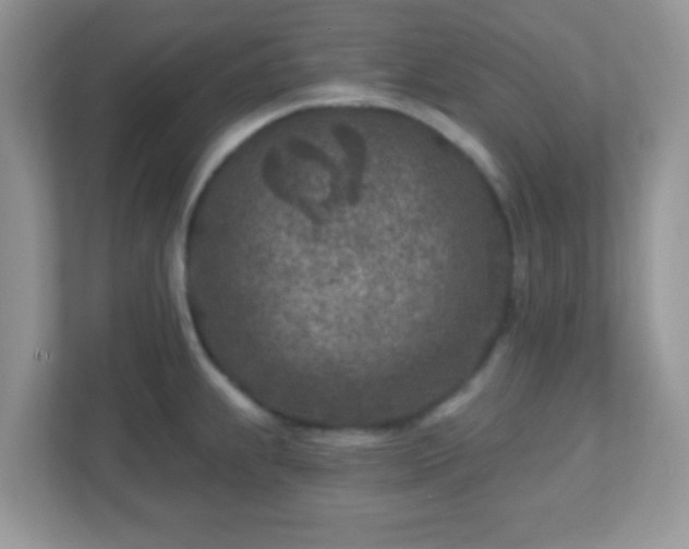 X0000110921239200906251411