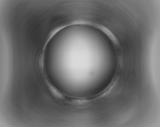 X0000110921244200906251412