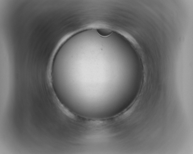 X0000110921248200906251412