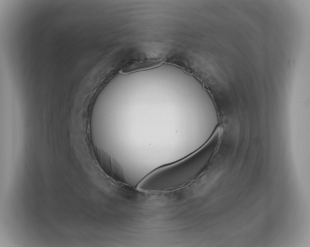 X0000110921249200906251411