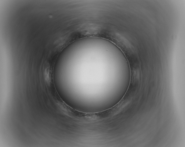 X0000110921250200906251411