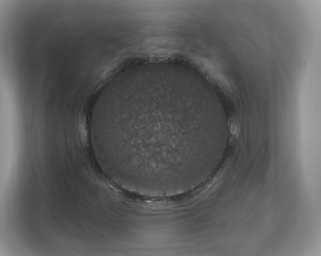X0000110921252200906251411
