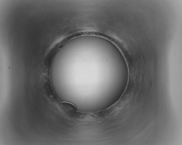 X0000110921255200906251411