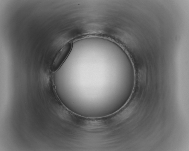X0000110921257200906251411