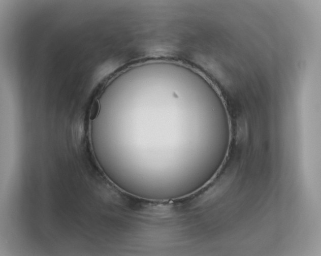 X0000110921261200906251411