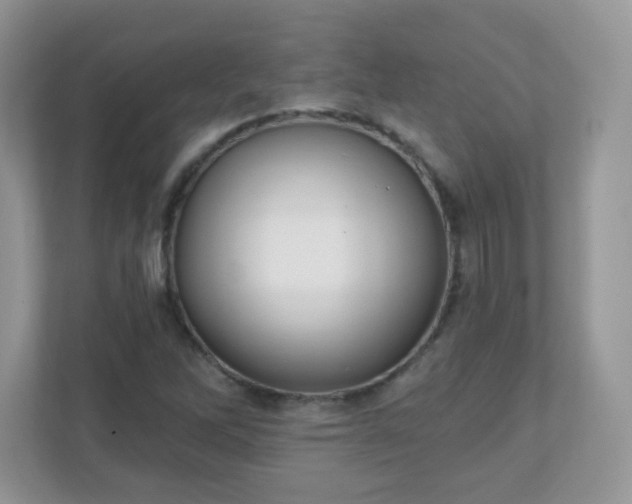 X0000110921262200906251411