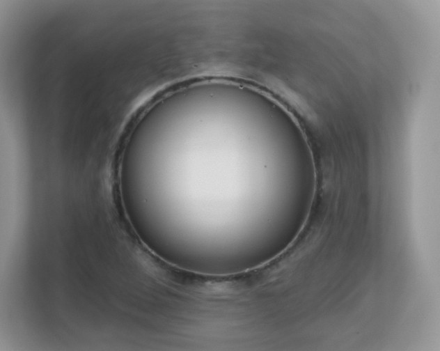 X0000110921264200906251411