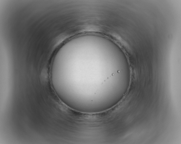 X0000110921266200906251411