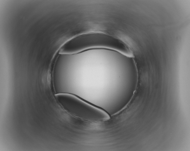 X0000110921268200906251411