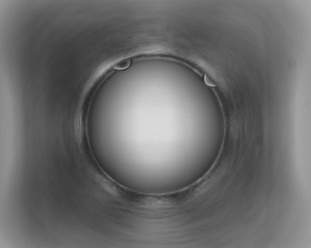 X0000110921270200906251411