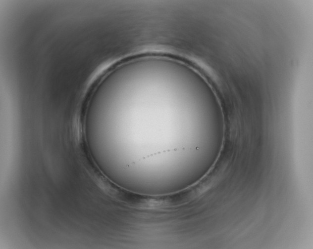 X0000110921271200906251411