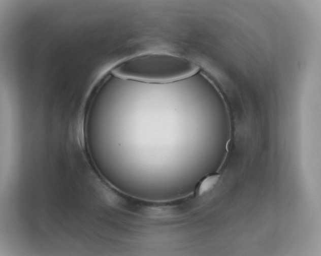 X0000110921272200906251411