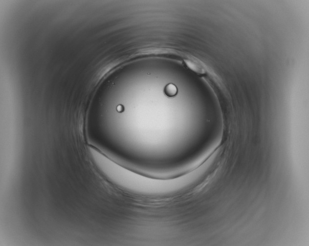 X0000110921273200906251411