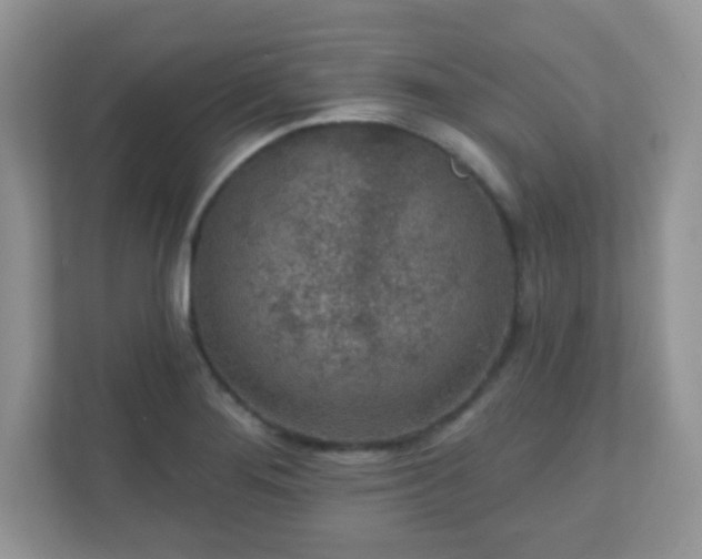 X0000110921276200906251411