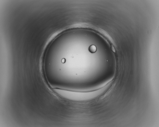 X0000110921277200906251411