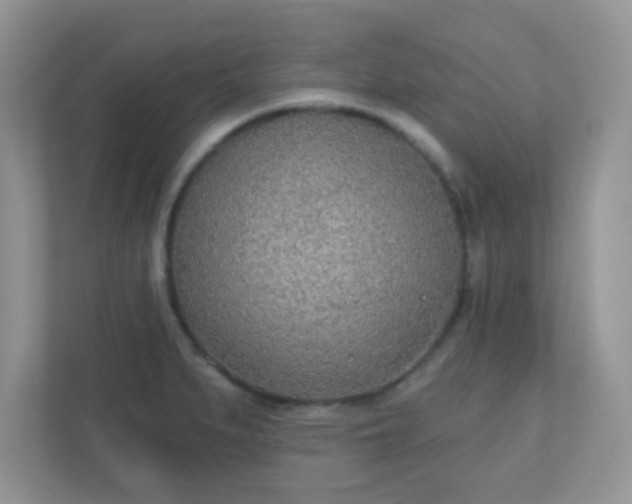 X0000110921279200906251411