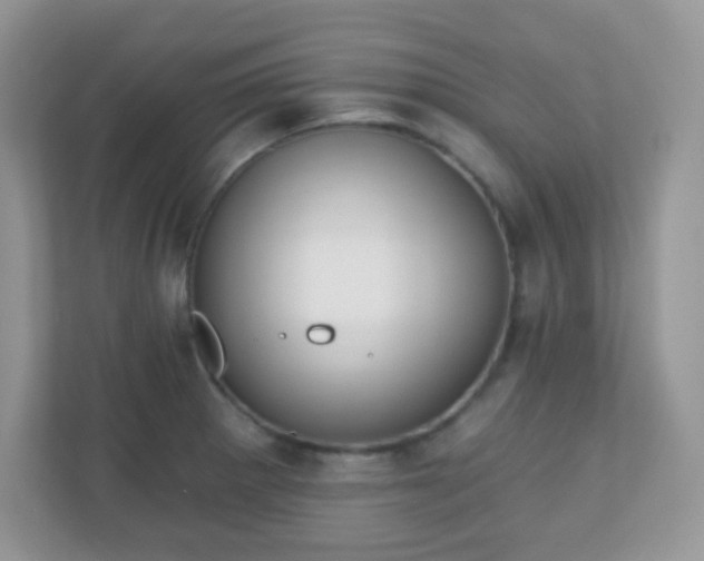 X0000110921281200906251411