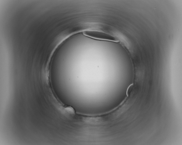 X0000110921284200906251411