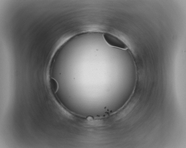 X0000110921285200906251411