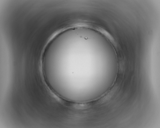 X0000110921286200906251411