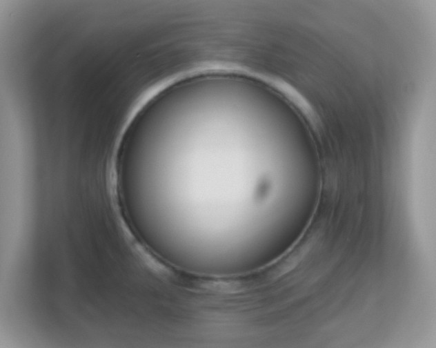 X0000110921287200906251410
