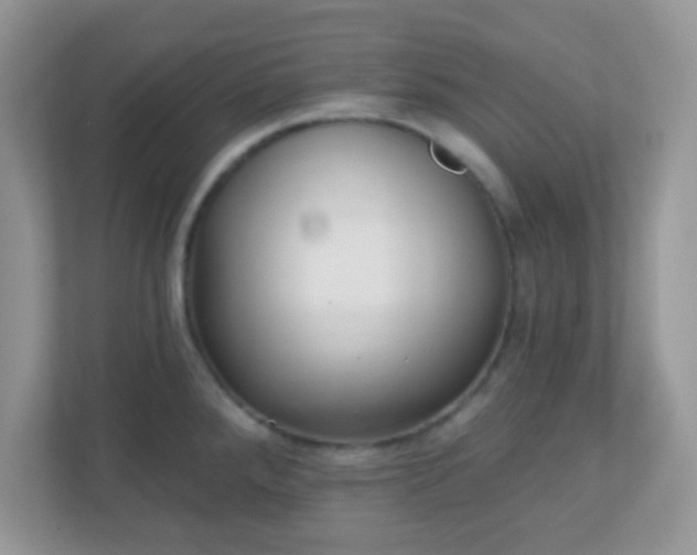 X0000110921288200906251410