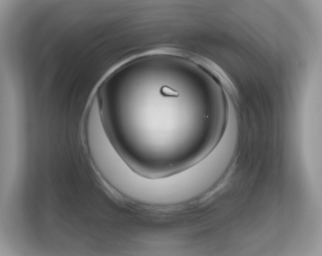 X0000110921292200906251410