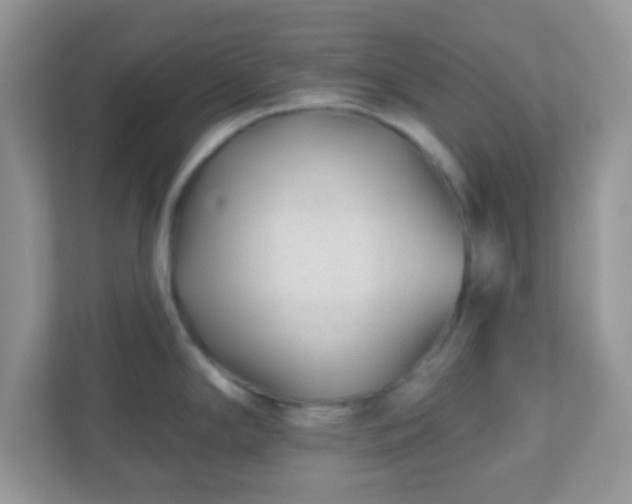 X0000110921294200906251410