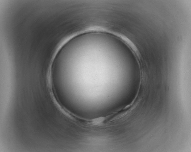 X0000110921295200906251410