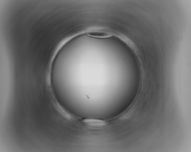 X0000110921296200906251410