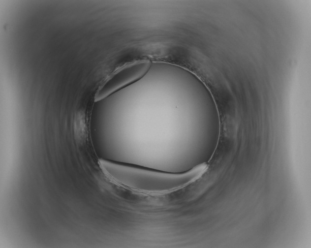 X0000110921298200906251410