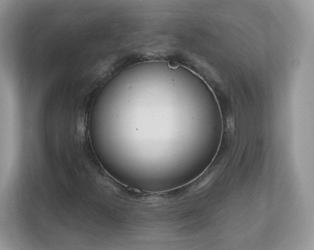 X0000110921300200906251410