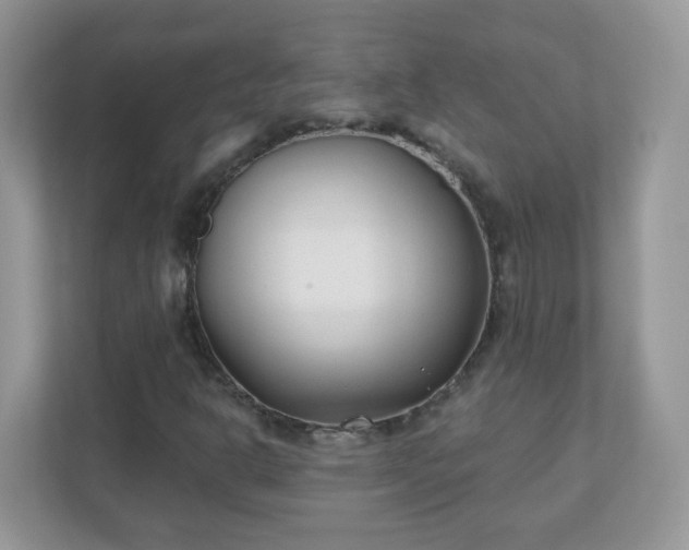X0000110921302200906251410