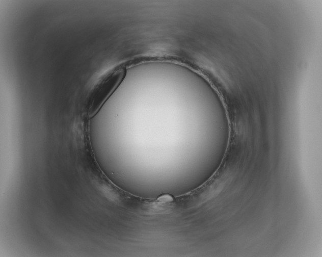 X0000110921304200906251410