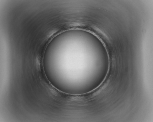 X0000110921305200906251410