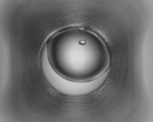 X0000110921308200906251410