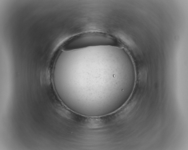 X0000110921310200906251410