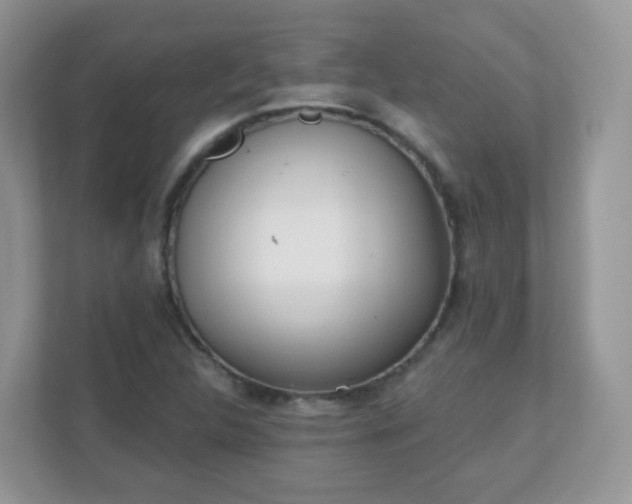 X0000110921312200906251410