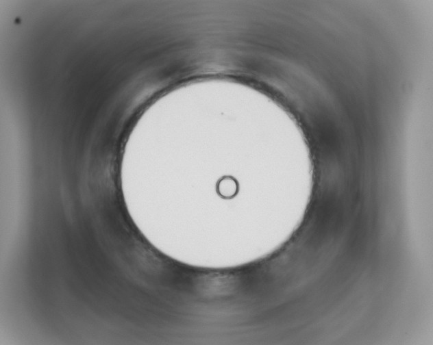 X0000110921314200906251410