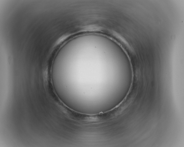 X0000110921315200906251410