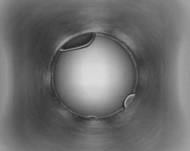 X0000110921316200906251410